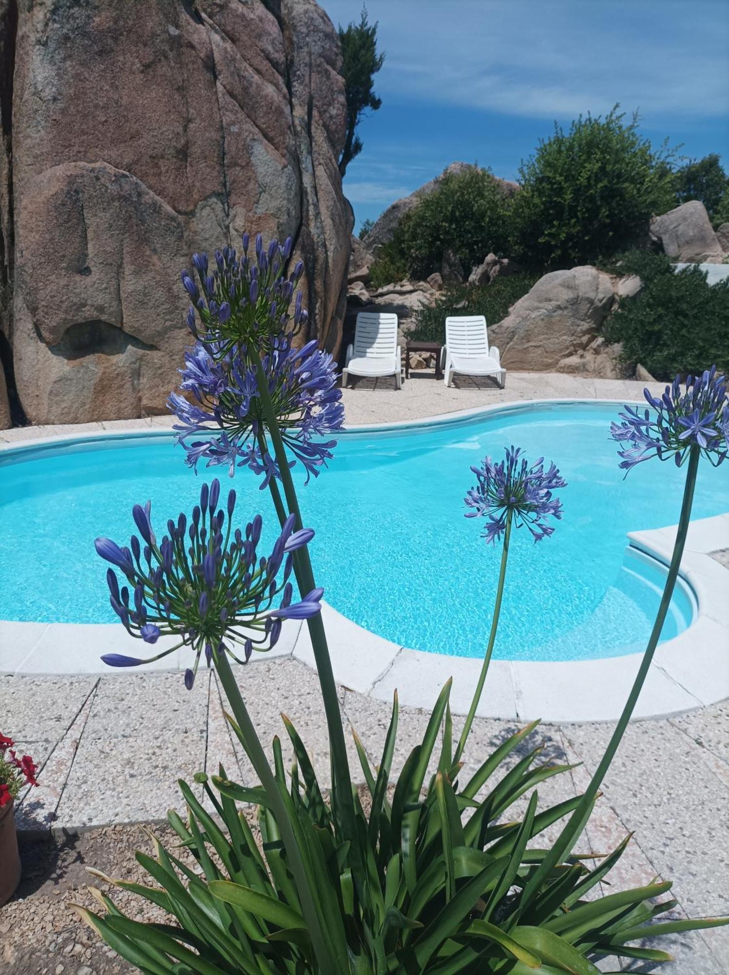 Villa Majore Beb Con Piscina Privata Rena Majore Εξωτερικό φωτογραφία